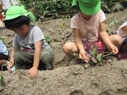 6��14���@�����@���܂����̂�A��_13