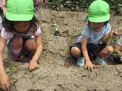 6��14���@�����@���܂����̂�A��_14