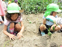 6��14���@�����@���܂����̂�A��_15