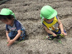 6��14���@�����@���܂����̂�A��_16