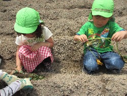 6��14���@�����@���܂����̂�A��_17