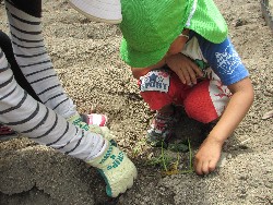 6��14���@�����@���܂����̂�A��_19