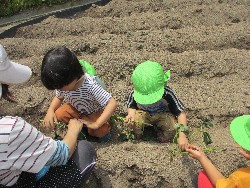 6��14���@�����@���܂����̂�A��_20