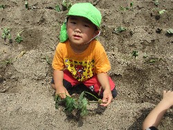 6��14���@�����@���܂����̂�A��_21