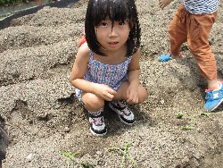 6��14���@�����@���܂����̂�A��_22