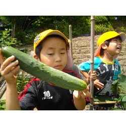 6��24���@�����E�������@��؂̎��n_1