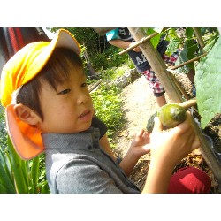 6��24���@�����E�������@��؂̎��n_2