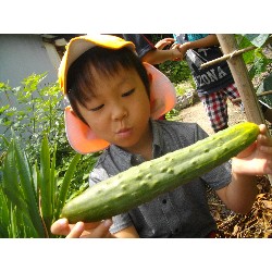 6��24���@�����E�������@��؂̎��n_3