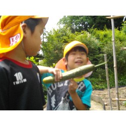 6��24���@�����E�������@��؂̎��n_5