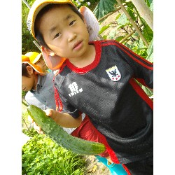 6��24���@�����E�������@��؂̎��n_6