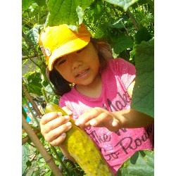 6��24���@�����E�������@��؂̎��n_7