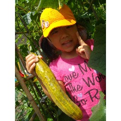 6��24���@�����E�������@��؂̎��n_8