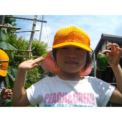 6��24���@�����E�������@��؂̎��n_9