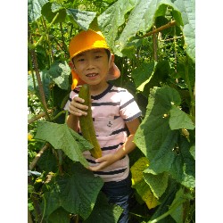 6��24���@�����E�������@��؂̎��n_10