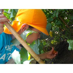 6��24���@�����E�������@��؂̎��n_11