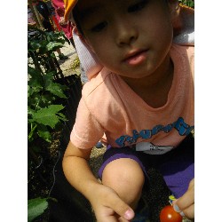 6��24���@�����E�������@��؂̎��n_12