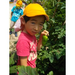 6��24���@�����E�������@��؂̎��n_13