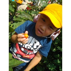 6��24���@�����E�������@��؂̎��n_14