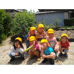 6��24���@�����E�������@��؂̎��n_16