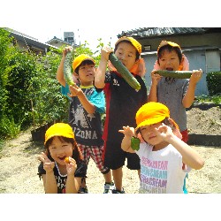 6��24���@�����E�������@��؂̎��n_17