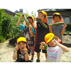 6��24���@�����E�������@��؂̎��n_18