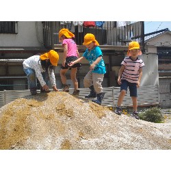 6��24���@�����E�������@��؂̎��n_22