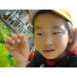 6��24���@�����E�������@��؂̎��n_24