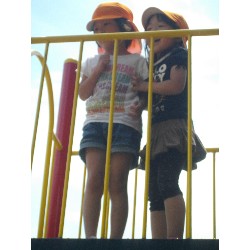 6��24���@�����E�������@��؂̎��n_26