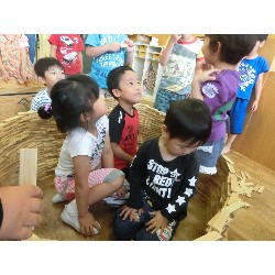 6��26���@�������@����������_14