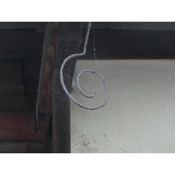 6��28���@�Ђ܂��@�T��_5