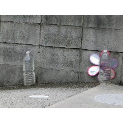 6��28���@�Ђ܂��@�T��_10