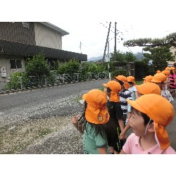 6��28���@�Ђ܂��@�T��_11