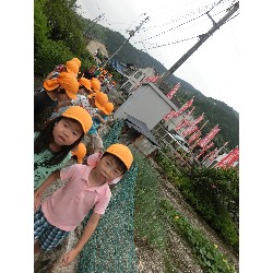 6��28���@�Ђ܂��@�T��_14