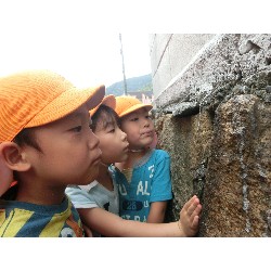 6��28���@�Ђ܂��@�T��_15