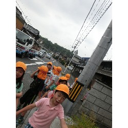 6��28���@�Ђ܂��@�T��_17