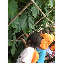 6��28���@�Ђ܂��@�T��_18