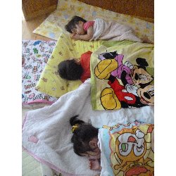 6��28���@����ۂہ@���Ђ��_4