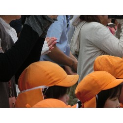 6��29���@�Ђ܂��@IDS��_13