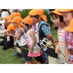 6��29���@�Ђ܂��@IDS��_20