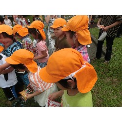 6��29���@�Ђ܂��@IDS��_27