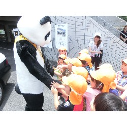 6��29���@�Ђ܂��@IDS��_44