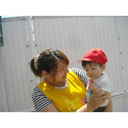 7��1���@�����@���{���̓�_10