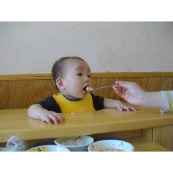 7��1���@�����@���{���̓�_13