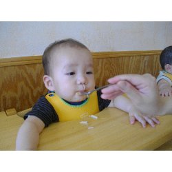 7��1���@�����@���{���̓�_16