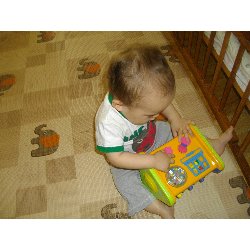 7��1���@�����@���{���̓�_17