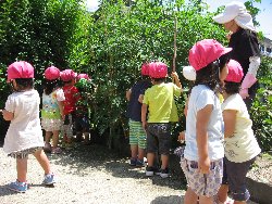 7��1���@��񂰁@��؎��n_1