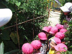 7��1���@��񂰁@��؎��n_2