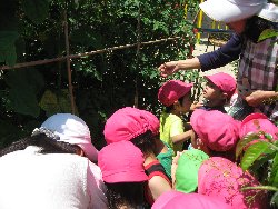 7��1���@��񂰁@��؎��n_3