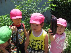 7��1���@��񂰁@��؎��n_4