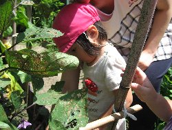 7��1���@��񂰁@��؎��n_5